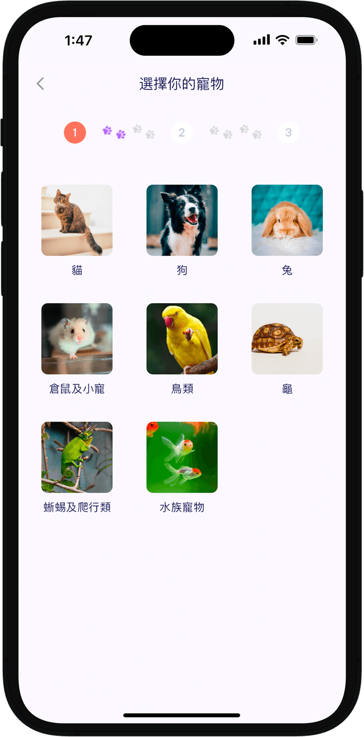 Doki寵物App - 香港寵主必備App - 一App搞掂毛孩衣食住行