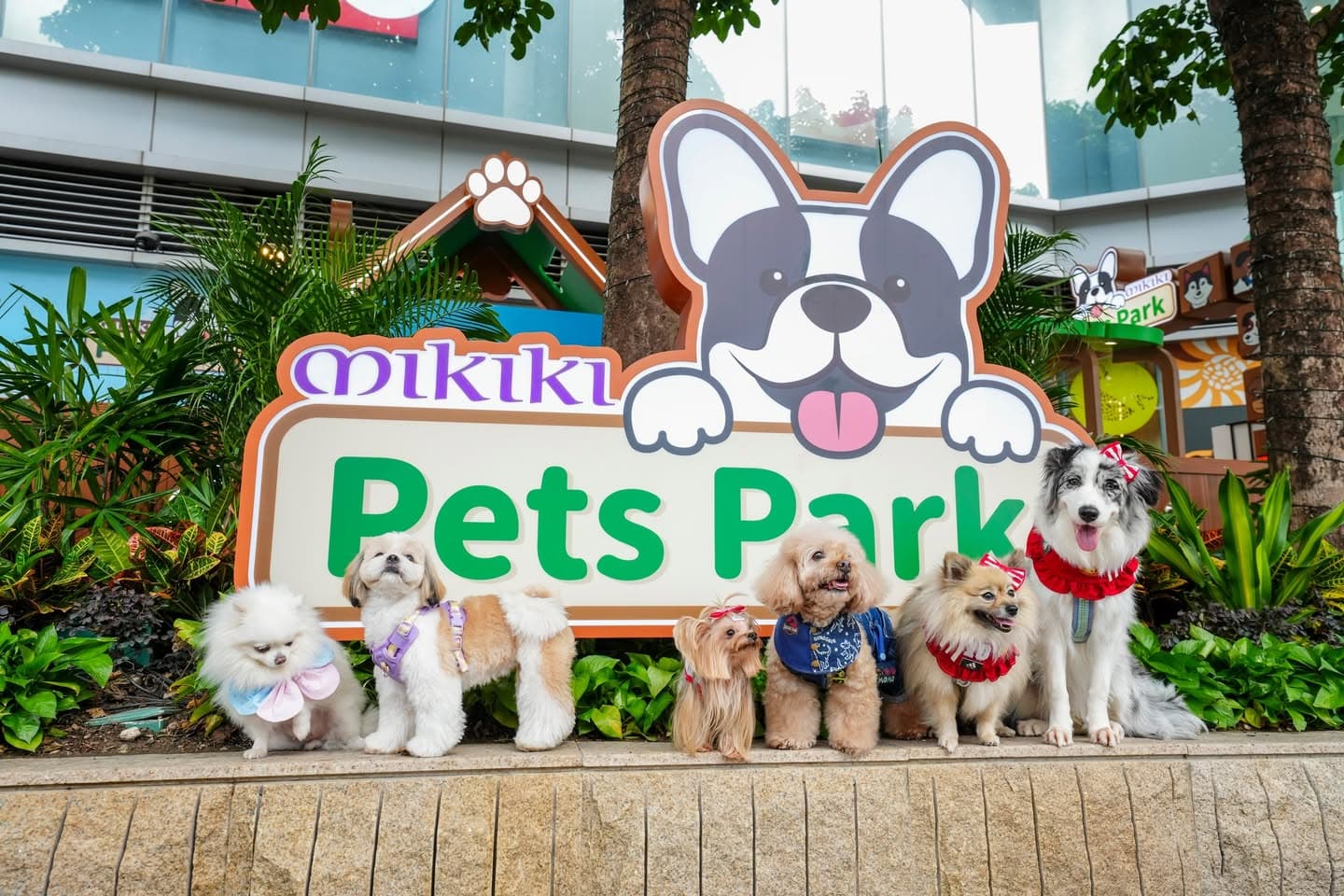 東九龍首個商場寵物公園 Mikiki「Pets Park」盛大開幕 | 寵物友善活動 🐾 | Doki 寵物活動情報站 | Doki Pet App | 香港必備寵物App | 香港寵主寵物家長必備App | 一App搞掂毛孩衣食住行 | 香港一站式寵物服務預約及寵物用品購物App | 寵物美容 | 寵物寄養 | 寵物用品 | 寵物訓練 | 寵物保姆 | 寵物暫託 | 毛孩專屬服務