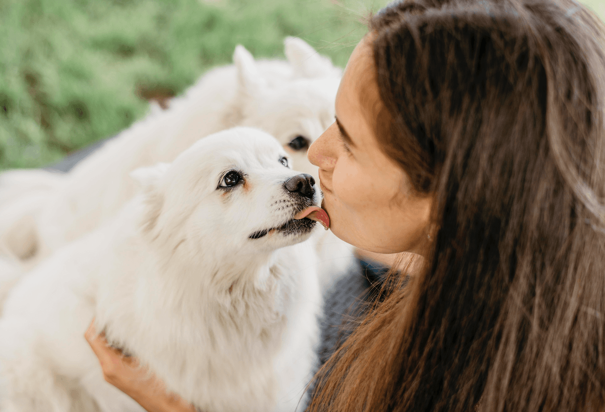 為何狗狗會舔你?你以為是愛,其實還有這些原因! | 貓狗百科大全 📖 | Doki 網誌 | Doki Pet App | 香港必備寵物App | 香港寵主寵物家長必備App | 一App搞掂毛孩衣食住行 | 香港一站式寵物服務預約及寵物用品購物App | 寵物美容 | 寵物寄養 | 寵物用品 | 寵物訓練 | 寵物保姆 | 寵物暫託 | 毛孩專屬服務