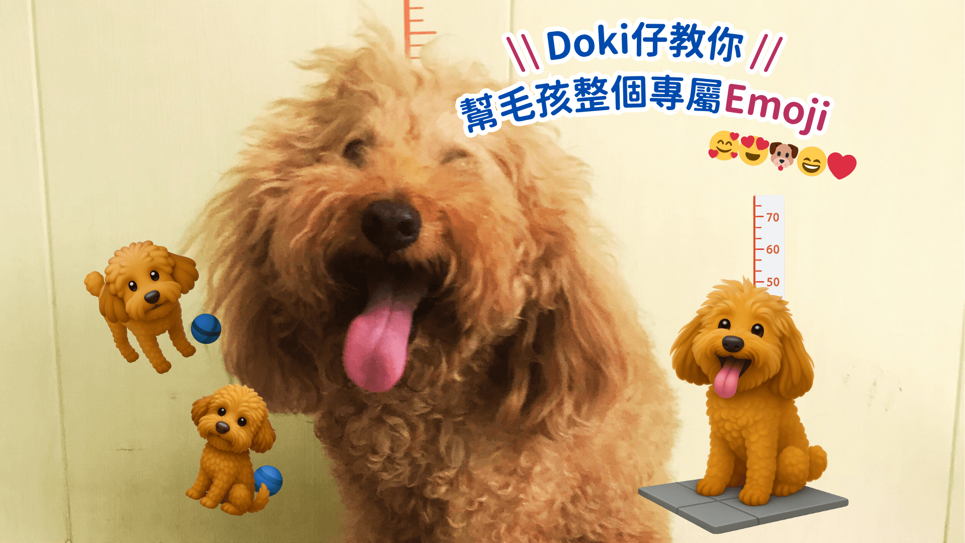 🤩Doki仔教你幫毛孩整個專屬Emoji!🤪 | 搞怪搞笑分享 🤪 | Doki 網誌 | Doki Pet App | 香港必備寵物App | 香港寵主寵物家長必備App | 一App搞掂毛孩衣食住行 | 香港一站式寵物服務預約及寵物用品購物App | 寵物美容 | 寵物寄養 | 寵物用品 | 寵物訓練 | 寵物保姆 | 寵物暫託 | 毛孩專屬服務