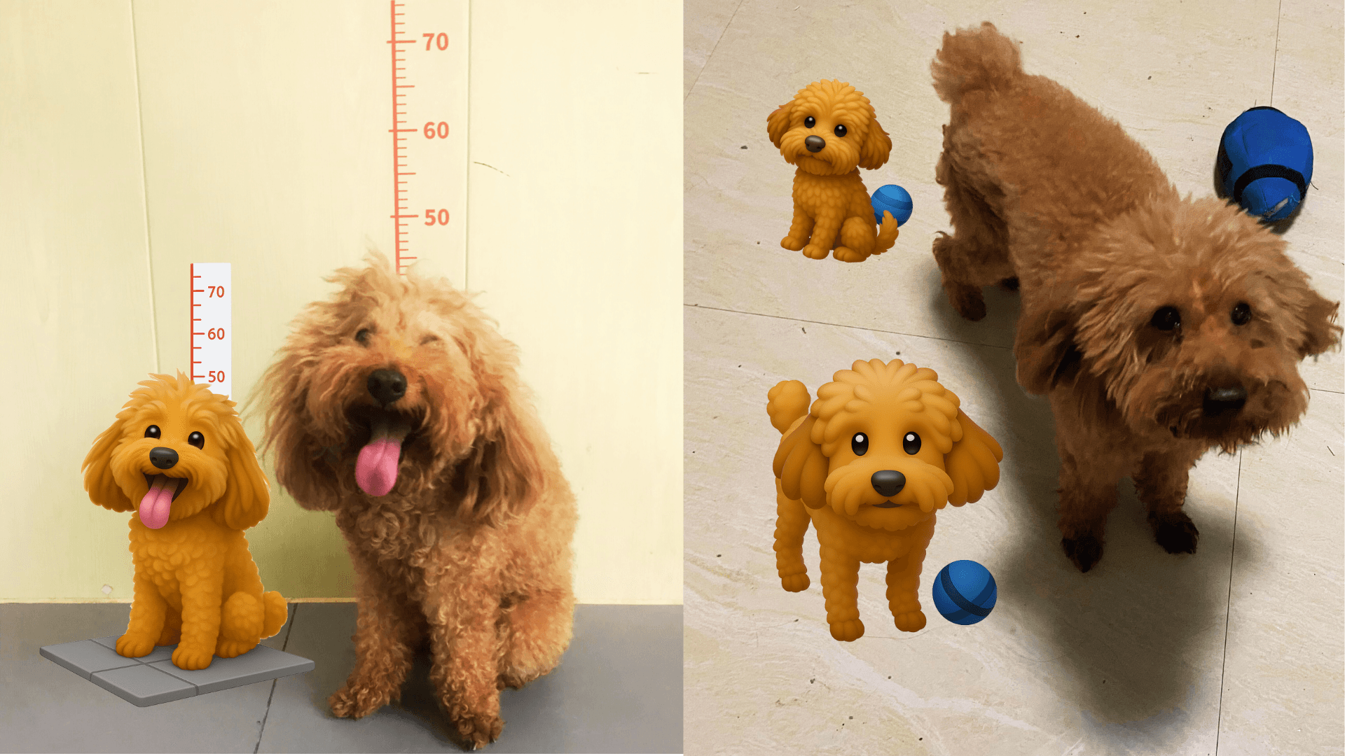 🤩Doki仔教你幫毛孩整個專屬Emoji!🤪 | 搞怪搞笑分享 🤪 | Doki 網誌 | Doki Pet App | 香港必備寵物App | 香港寵主寵物家長必備App | 一App搞掂毛孩衣食住行 | 香港一站式寵物服務預約及寵物用品購物App | 寵物美容 | 寵物寄養 | 寵物用品 | 寵物訓練 | 寵物保姆 | 寵物暫託 | 毛孩專屬服務